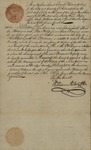 John Kean Appointed Guardian of Peter Philip James Kean, July 1, 1791