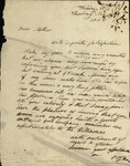 Peter Kean to Susan Niemcewicz, November 28, 1805 by Peter Philip James Kean